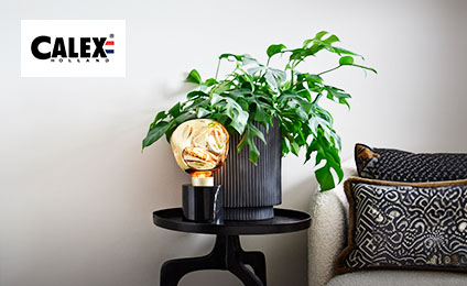 Calex Calex
