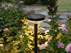 Solarleuchten Solarleuchten
